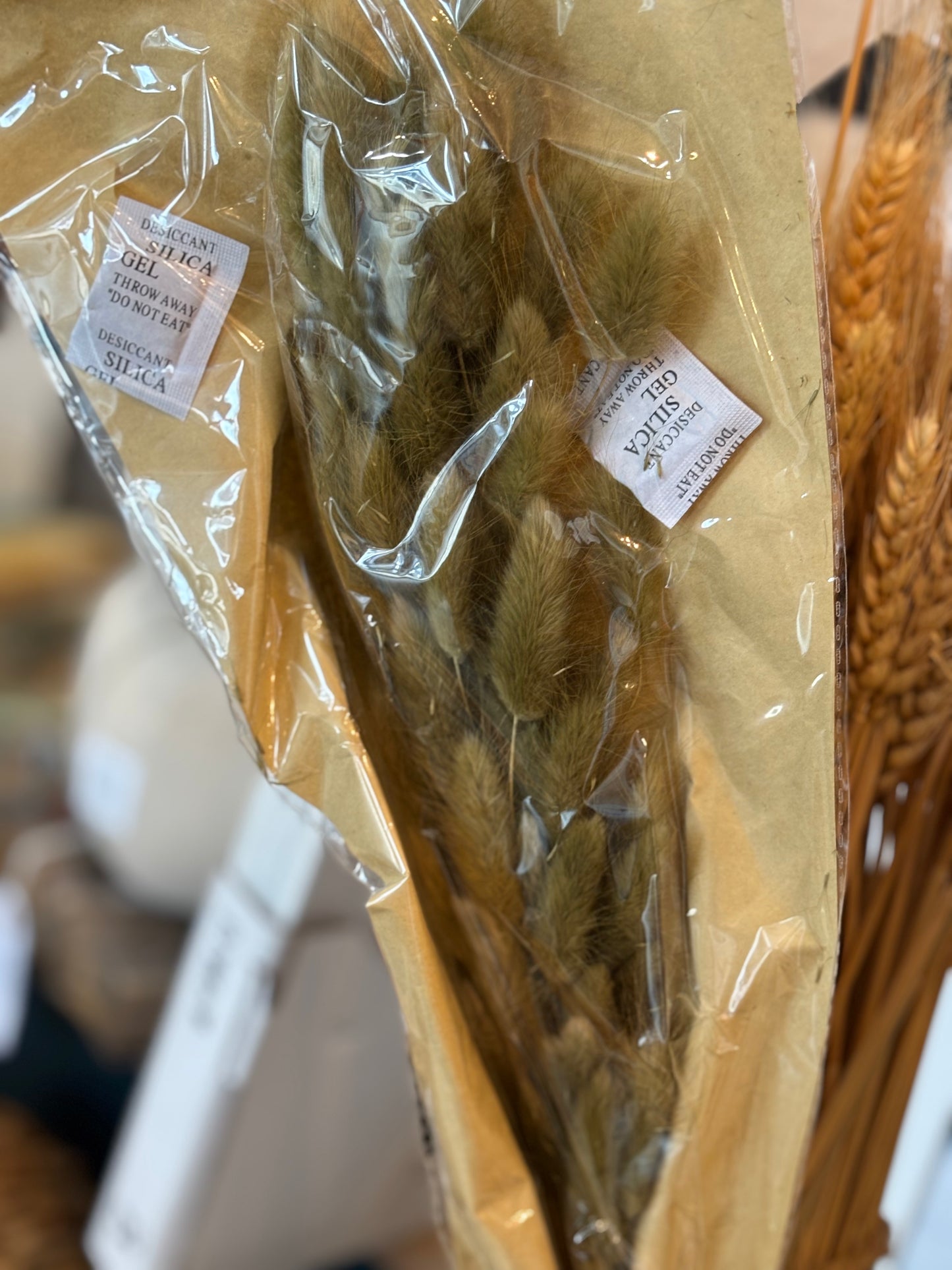 Mudtard & Green Preserved Bunny Tails