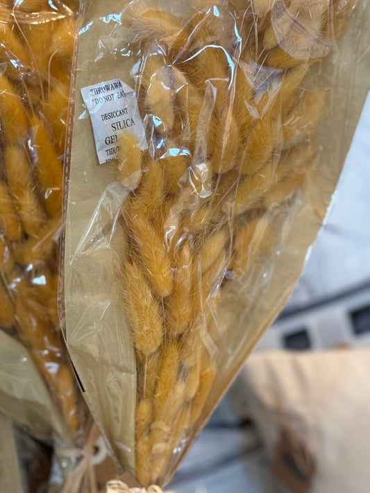 Mudtard & Green Preserved Bunny Tails